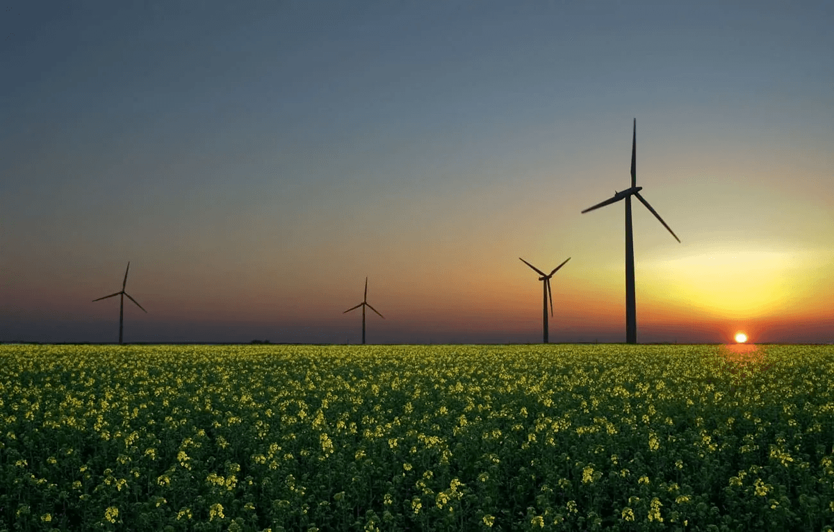 Energía Renovable